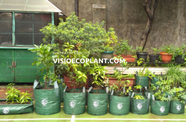 Lightweight & Portable Gardening