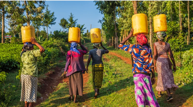 kitchen gardening in kenya
